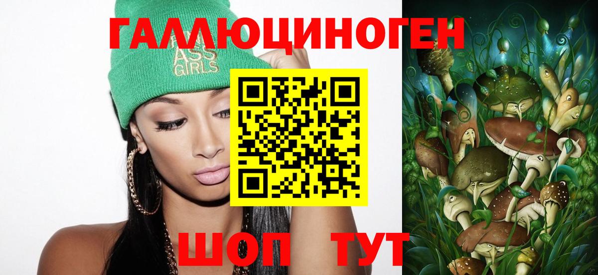 закладка  Галлюциногенные грибы GOLDEN TEACHER  Вход с VPN  Находка  Галлюциногенные грибы Cubensis 